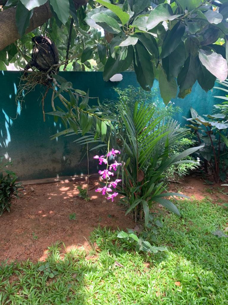 Villa Peace Heaven Galle Buitenkant foto